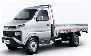 2T Mini-LKW