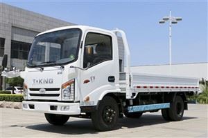 Leichter 2-Tonnen-RHD-LKW