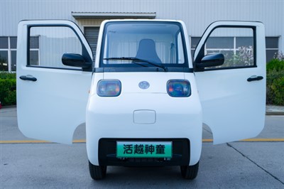 Elektrische Frachtbox